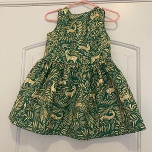 Jcrew Dress 2t